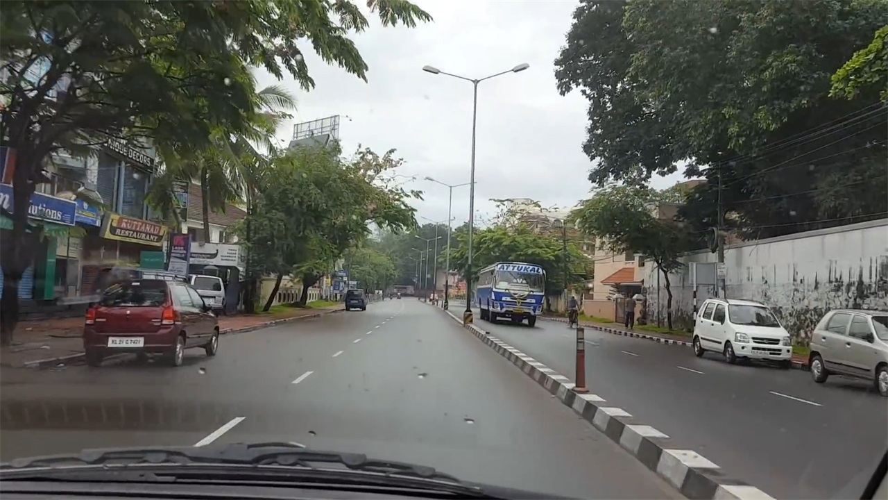 德国大型蔬菜移栽机,德国移植树木机器视频