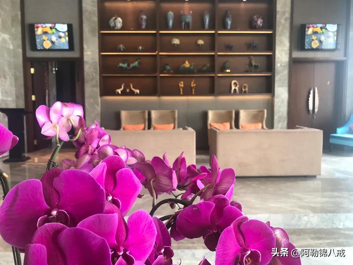 成旅旅游酒店式公寓,莎玛大庆服务式公寓酒店