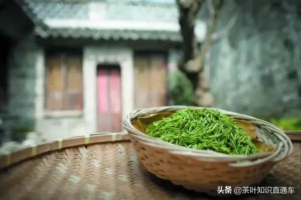 怎么辨别碧螺春的好坏,如何鉴别碧螺春的真伪和等级呢