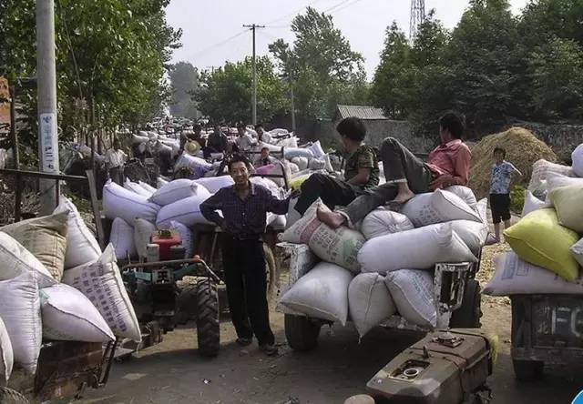 交公粮的农民老照片,农村交公粮老照片