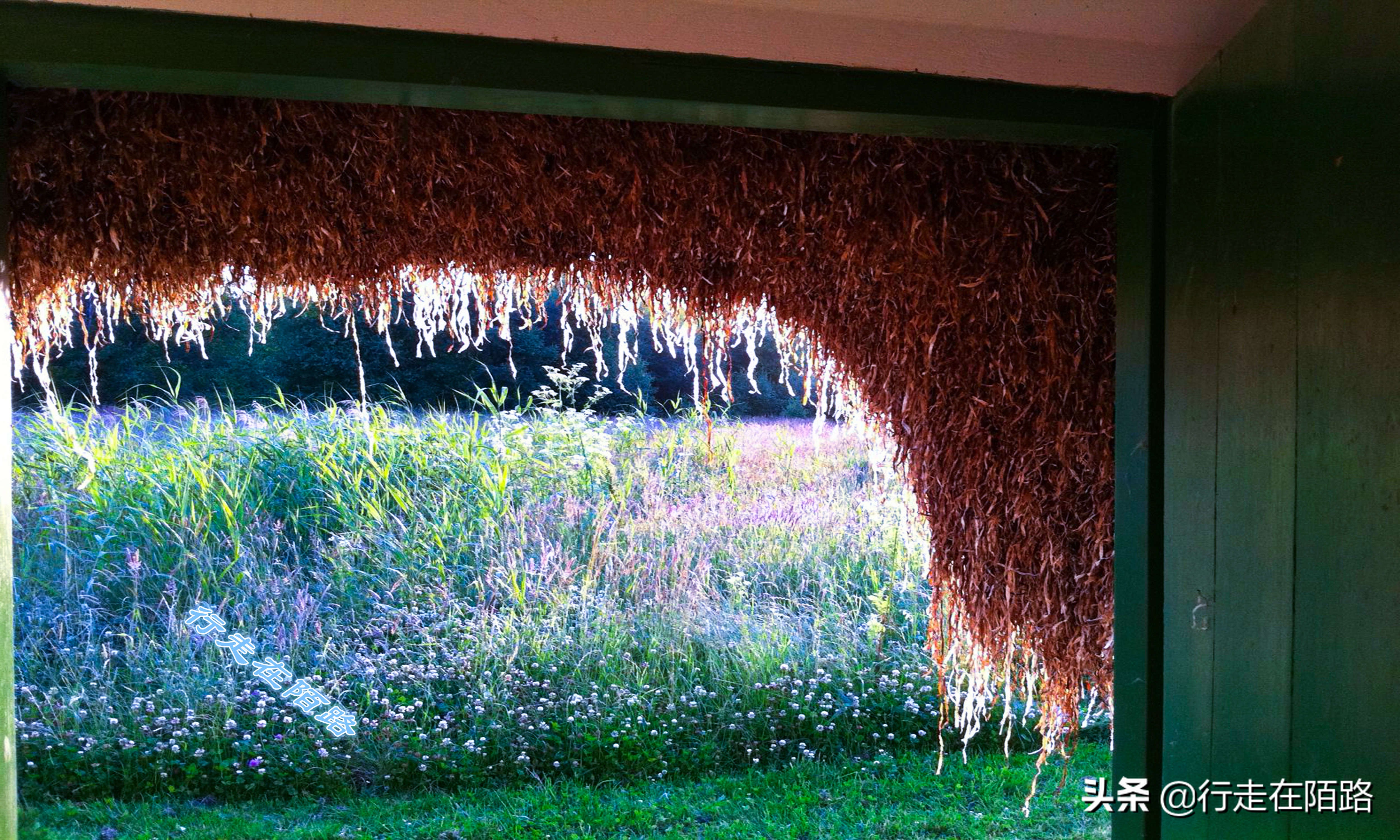 最廉价的房子,最廉价的房子建造