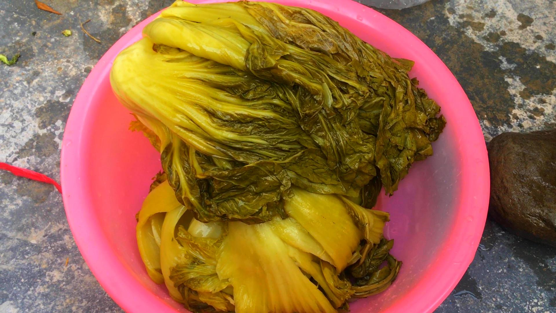 酸菜不用糯米粉的做法,酸菜不用塑料袋的腌法