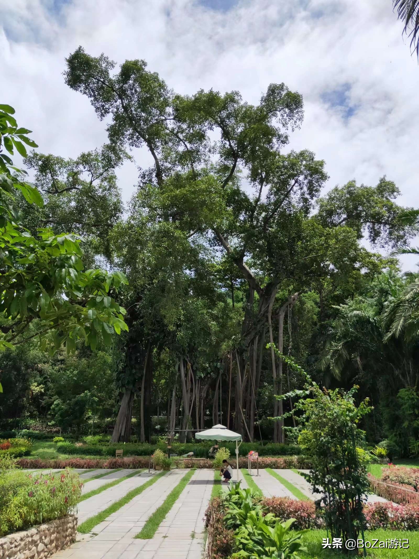 云南西双版纳到文山途经哪些景点,西双版纳适合6-12岁儿童的景点