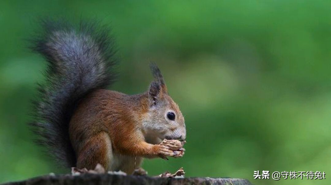 10个关于人类身体的冷知识,十个冷知识人类