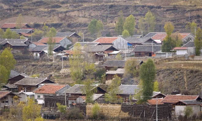 未来几年农村创业好项目有哪些,未来农村最好的行业有哪些