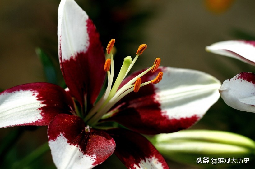 牛啊，写诗也能骂人，这十首讽刺意味的诗歌，第六首发人深省