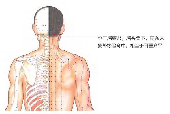 中医治落枕最快方法,针灸治疗落枕最快穴位是哪些穴