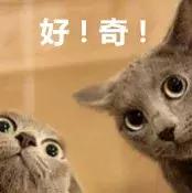 大动作广州18号线,广州大动作