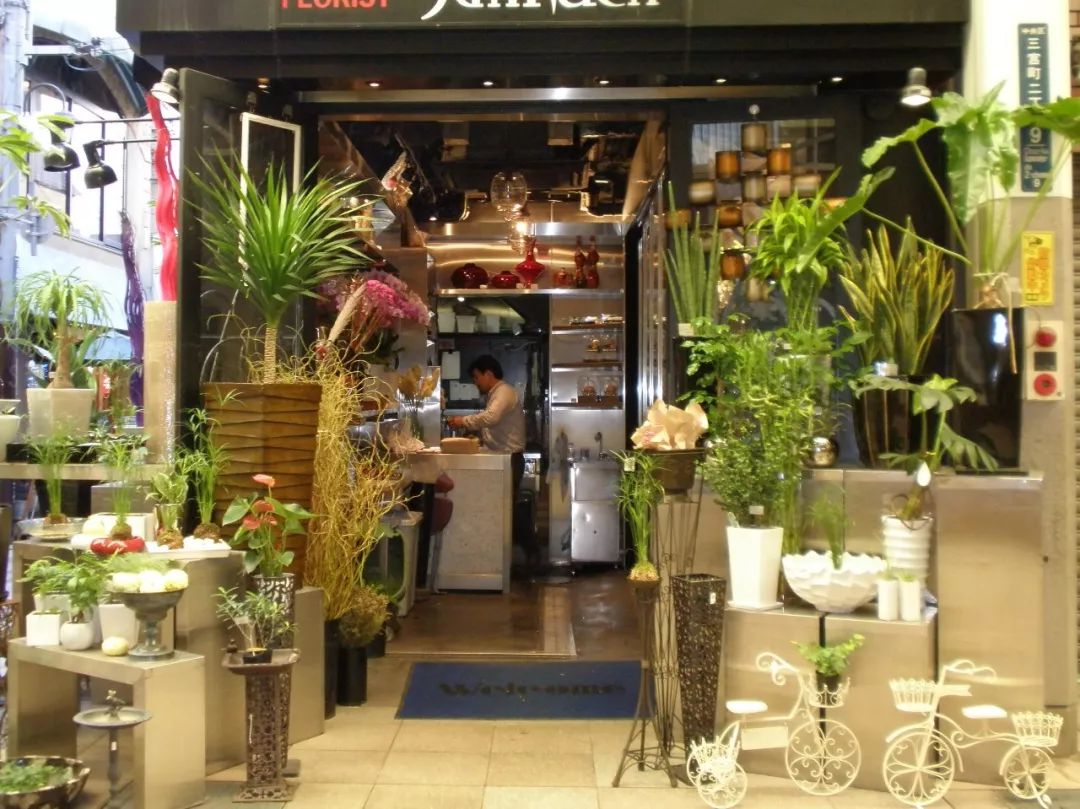 花店之旅,日本花店的真实感受