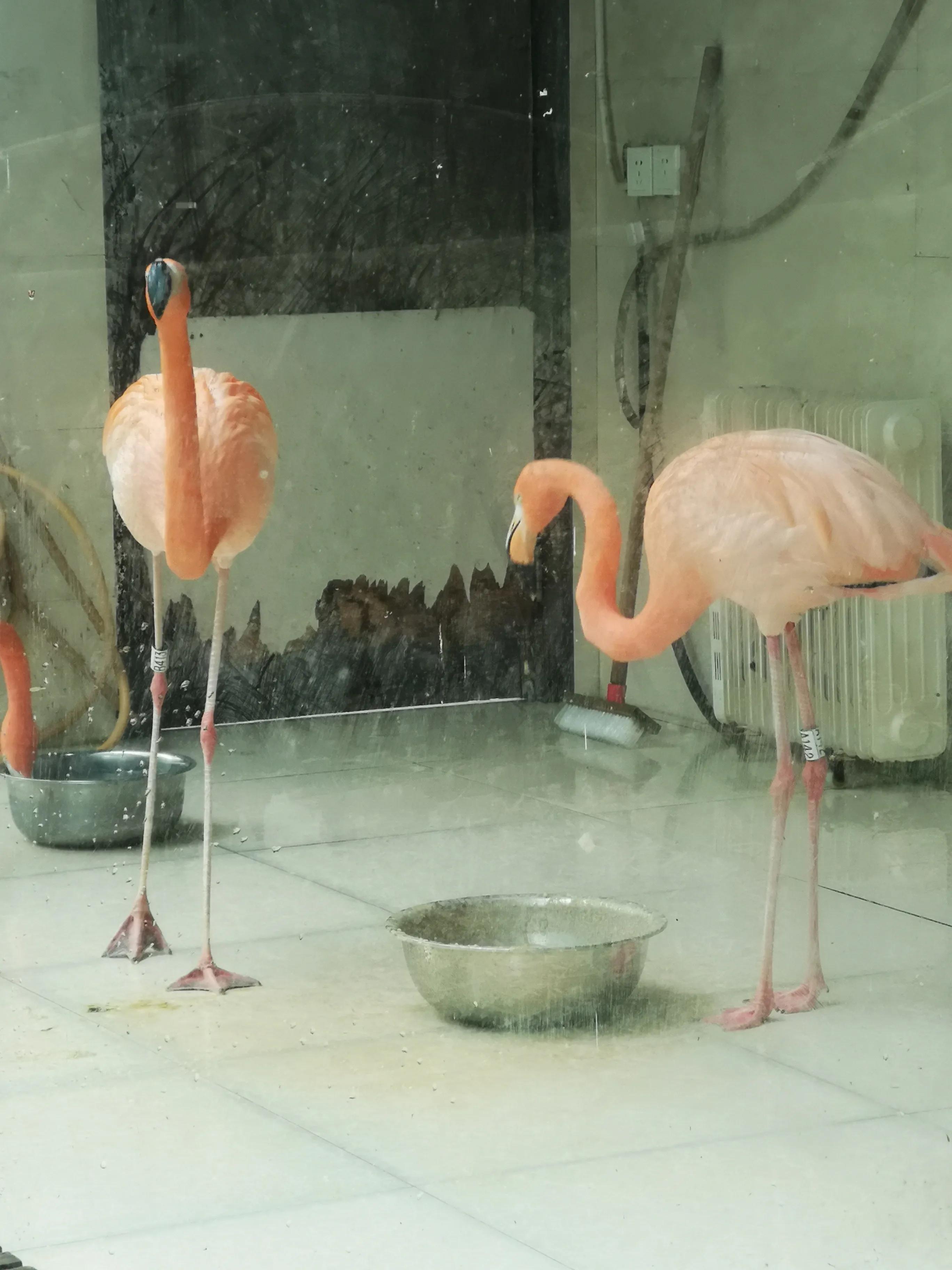 溧阳南山竹海小鸟天堂,宜兴南山竹海和溧阳南山竹海