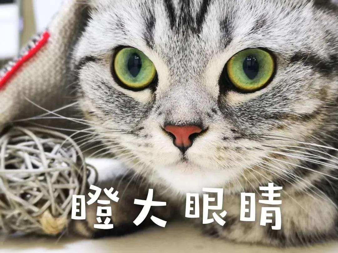 看电竞比赛时，别被各类“竞猜”迷了眼，当心掉入网络赌博陷阱！