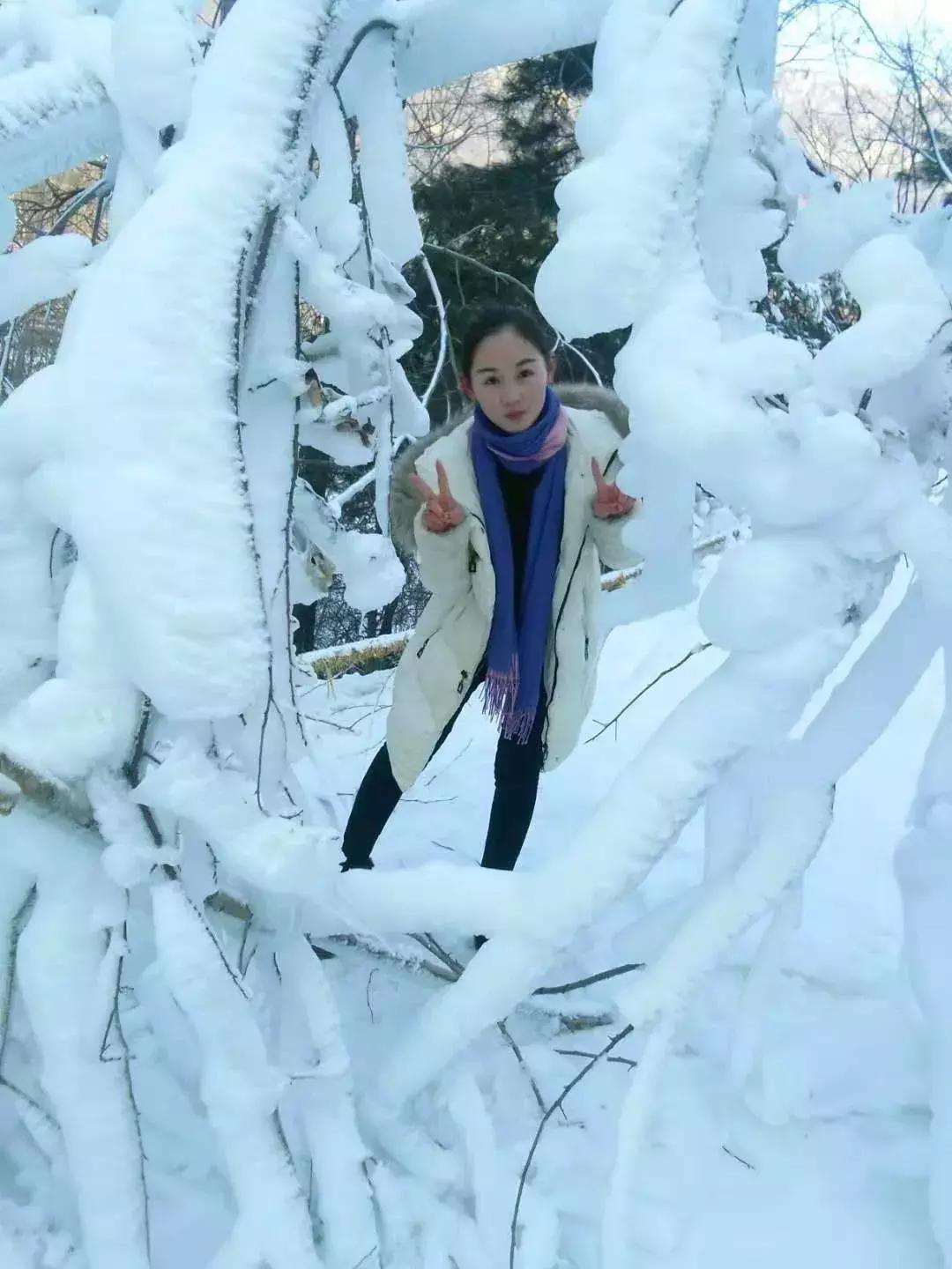 中原雪乡｜满足你对雪国的一切终极幻想