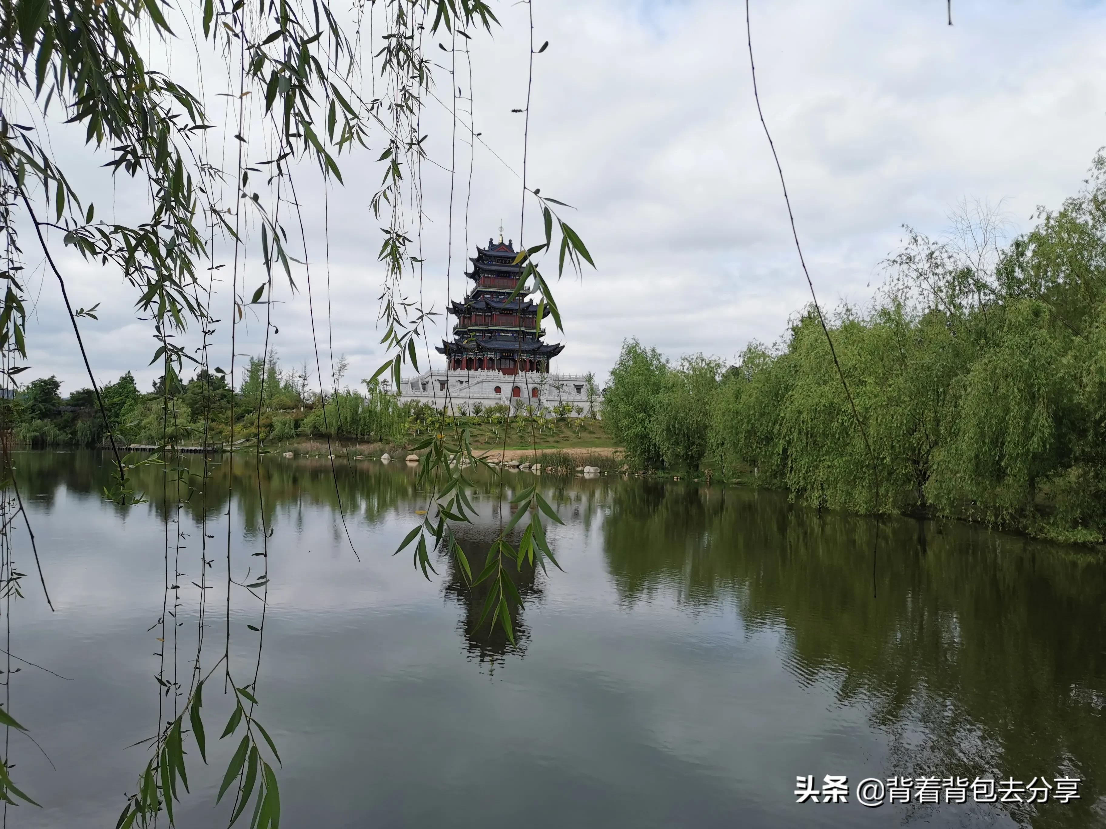 麻城看杜鹃花攻略,去麻城看杜鹃攻略