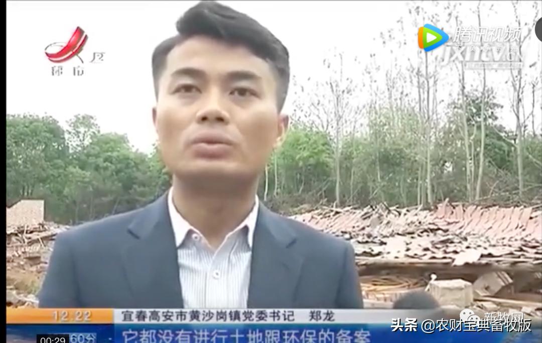 福建养猪场被强拆后续拆错了,江西养猪场被拆