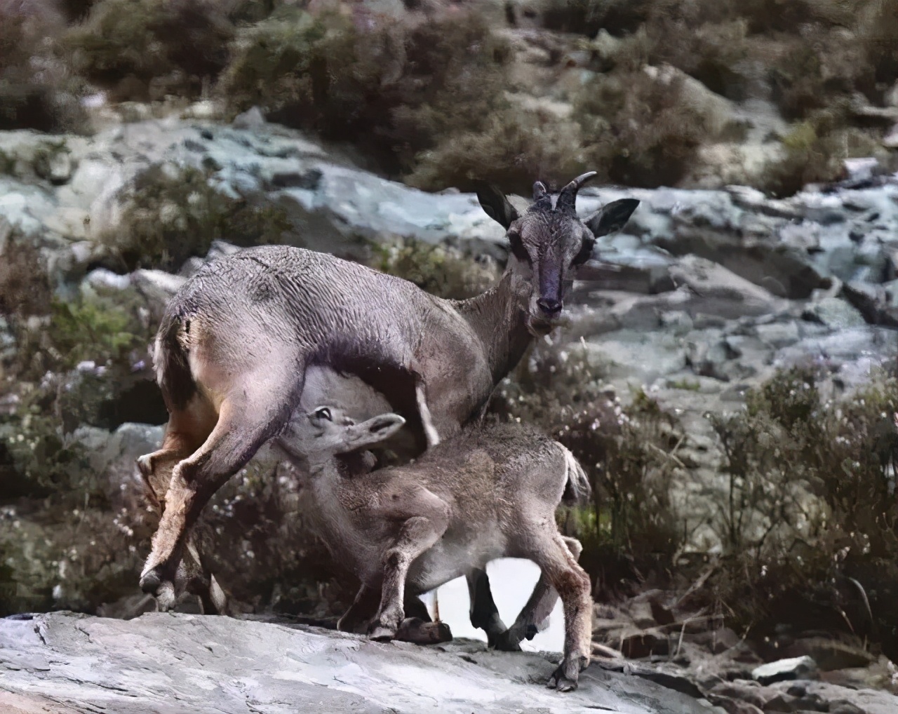超美!大漠孤烟,湖光山色,走进异域风情的“塞上江南”