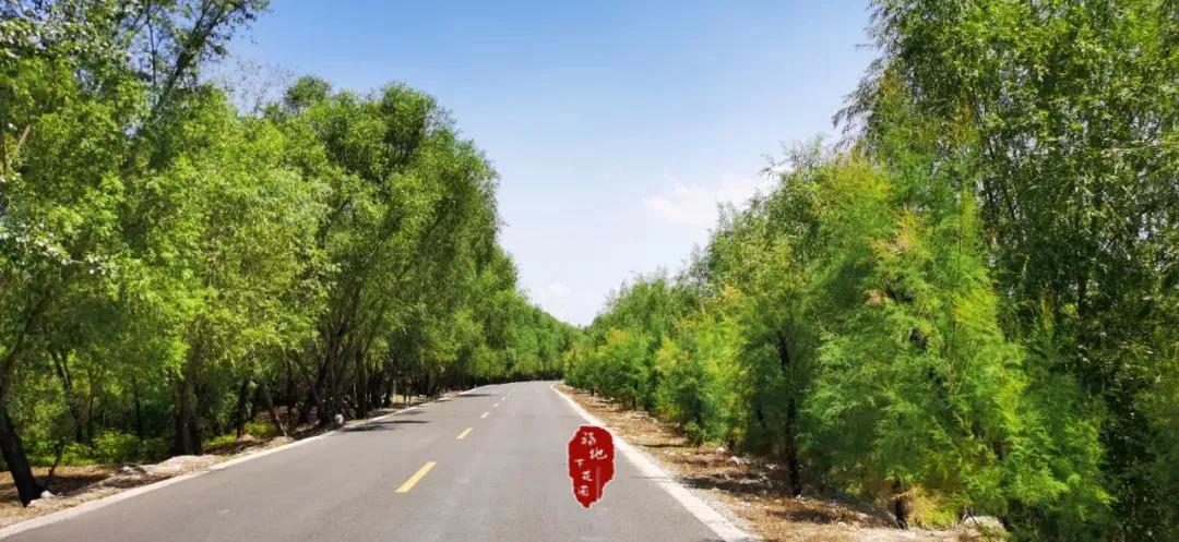 张家口市洋河河道,洋河风景