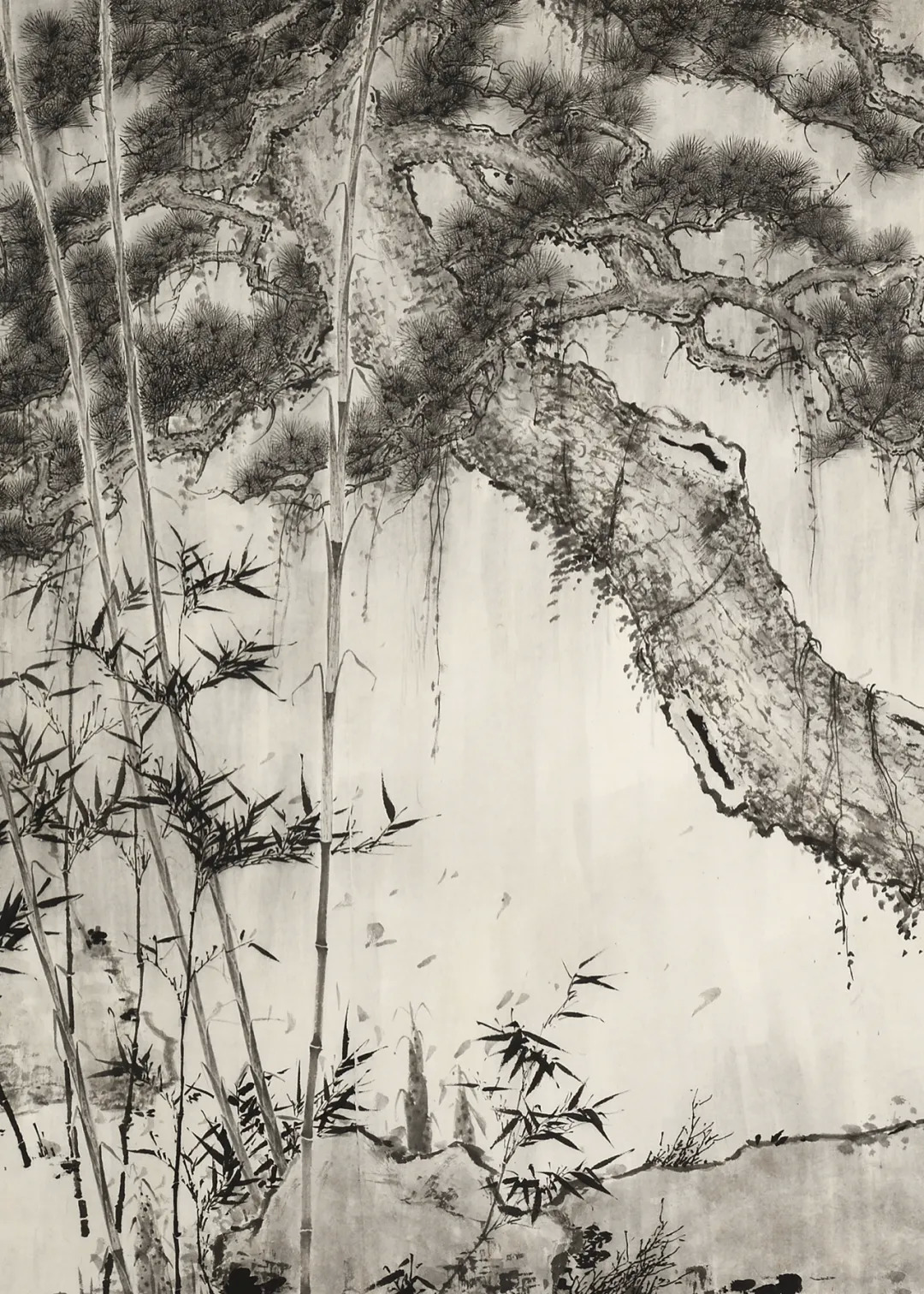 时风丨李乐然：我们这一代