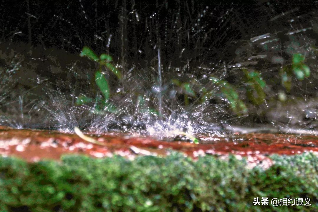 赤水大瀑布 侏罗纪公园 (贵州赤水侏罗纪公园攻略)