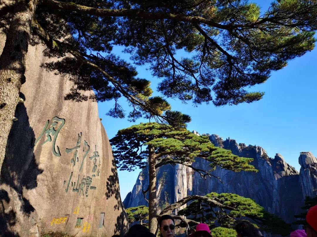 秋至黄山：当秋光与山色齐放