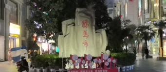 西安是骡马市的,西安骡马市在哪个区啊