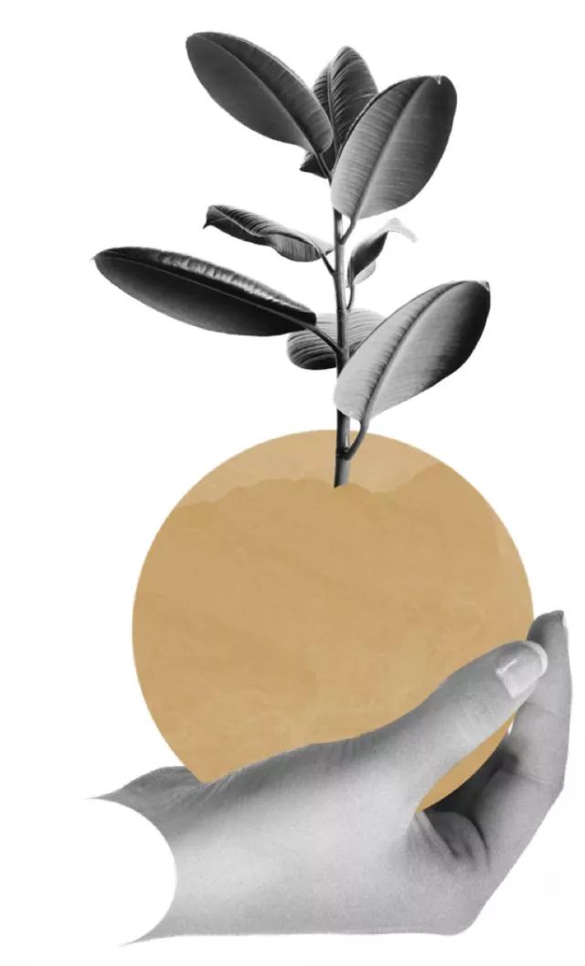 生活新生，在后社·西岸构筑你理想居所的样貌