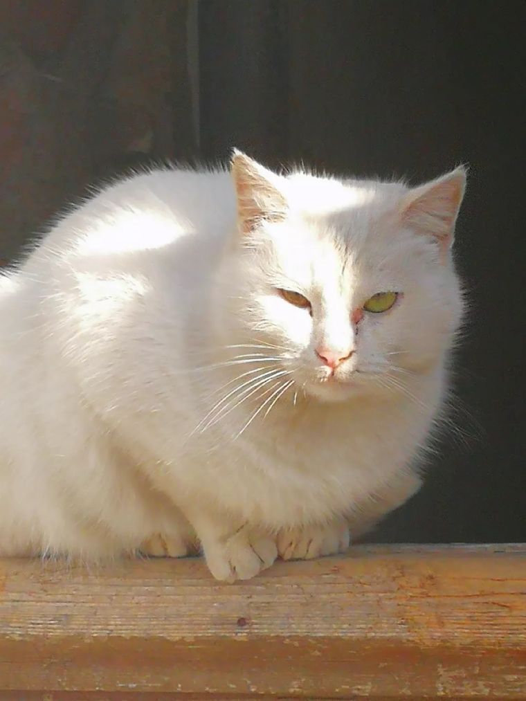 「华说｜旅行」外高加索的红酒之国-格鲁吉亚