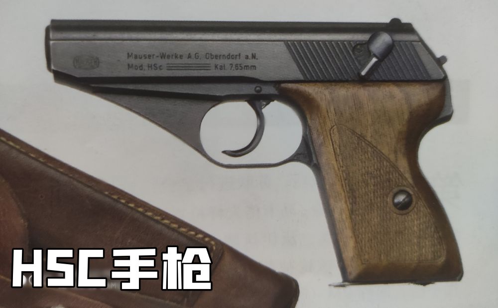 英国枪史图册全篇,德国枪图片