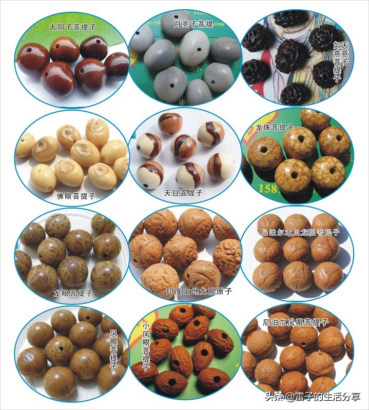 文玩菩提子鉴赏,橄榄核镶嵌菩提怎么样
