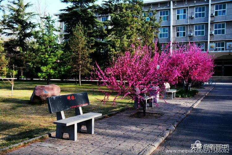 山西农大美丽的校园,山西农大校园风光