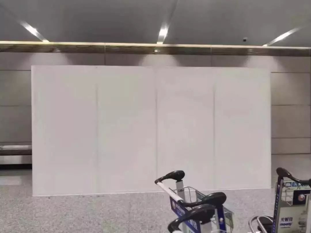 回国下飞机后被带走,回国飞机不托运海关检查行李吗