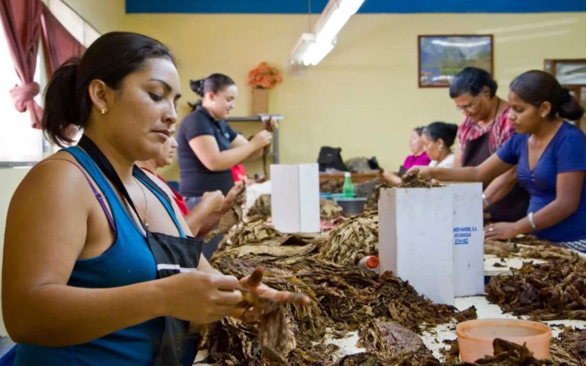 拒绝美国“运河霸权”这个南美小国靠咖啡、雪茄、朗姆酒发家致富