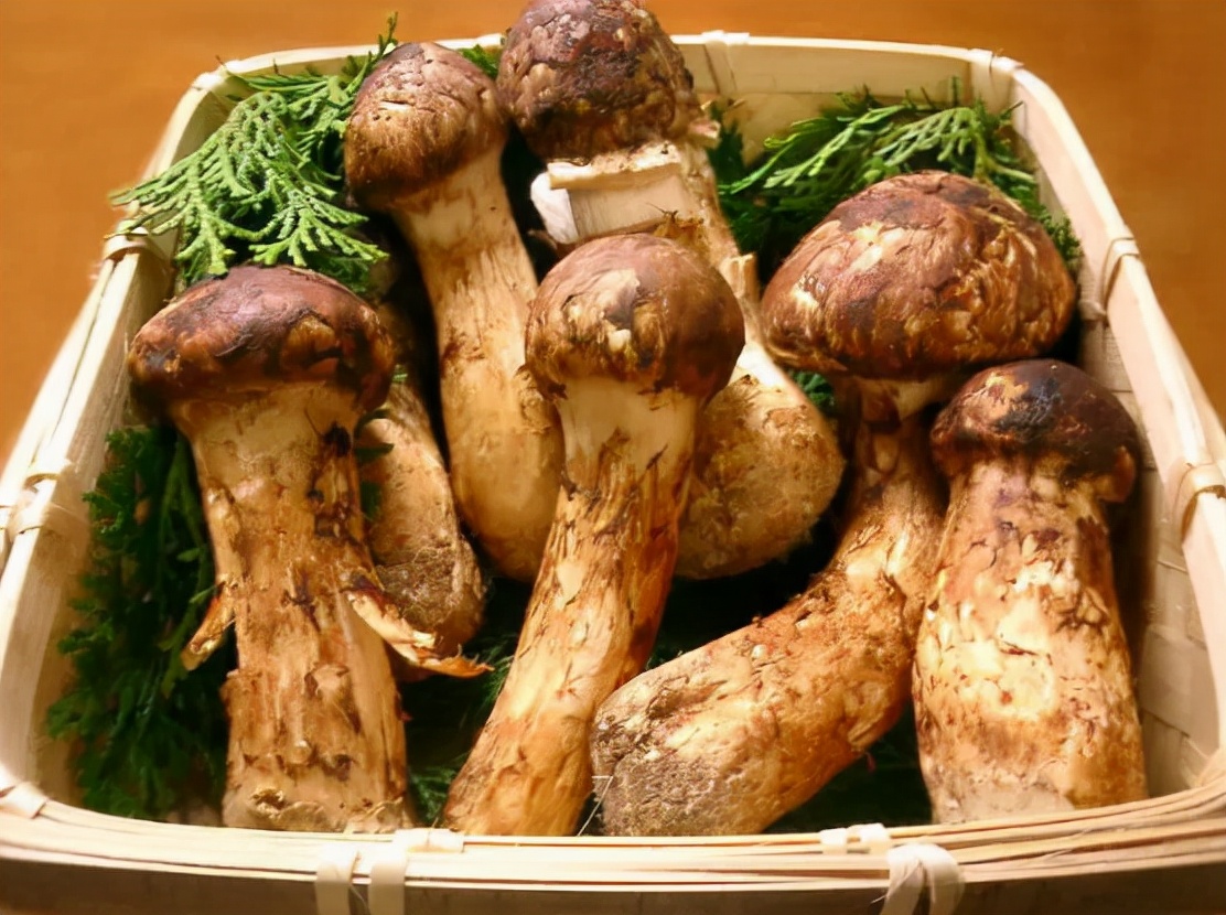 世界上最昂贵的十种食物,世界上最昂贵的食物解说