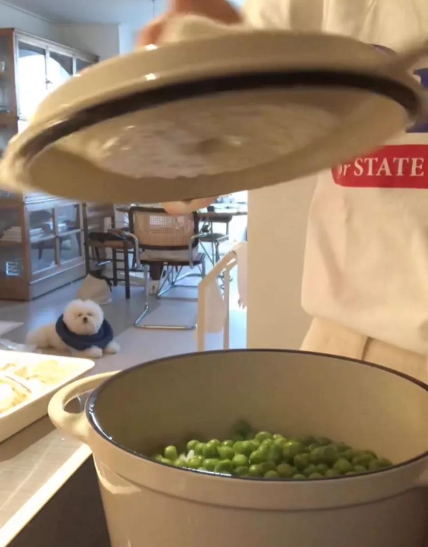 38岁独居全职博主,韩国独居博主