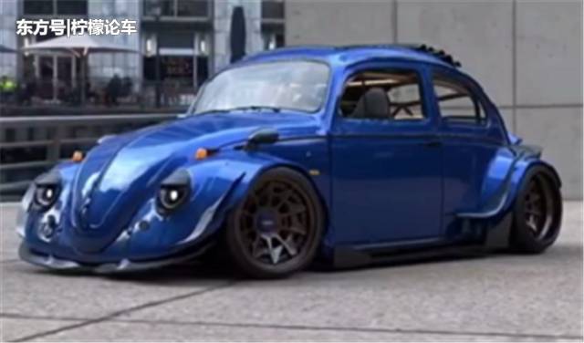 战斗款甲壳虫,甲壳虫战斗甲壳虫