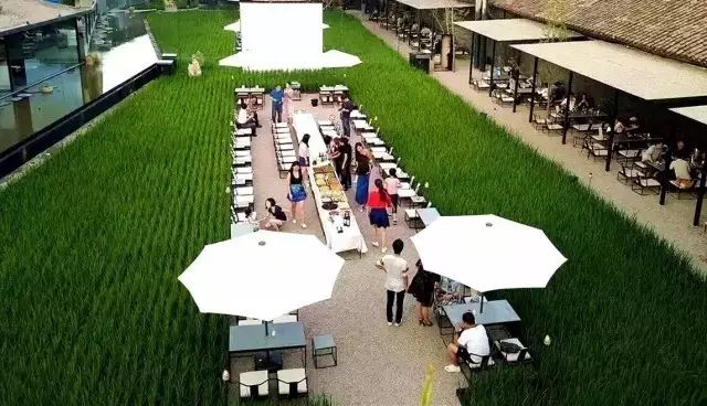 广州增城区宛若故里稻田里民宿,清远稻田田野民宿