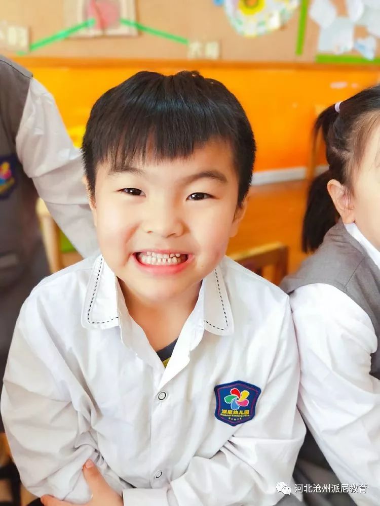 身体大揭秘动画,身体大揭秘