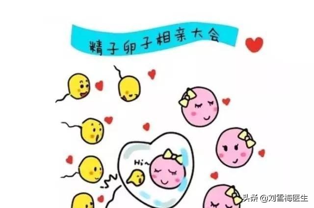 备孕专用促排卵药有副作用吗,促排卵药四大谣言