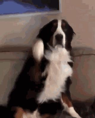 吓得娃儿们这个跑啊，绳子都拦不住哇