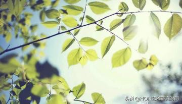 我们是时间旅行者寻找生命中的光,我们都是旅行者寻找生命中的光