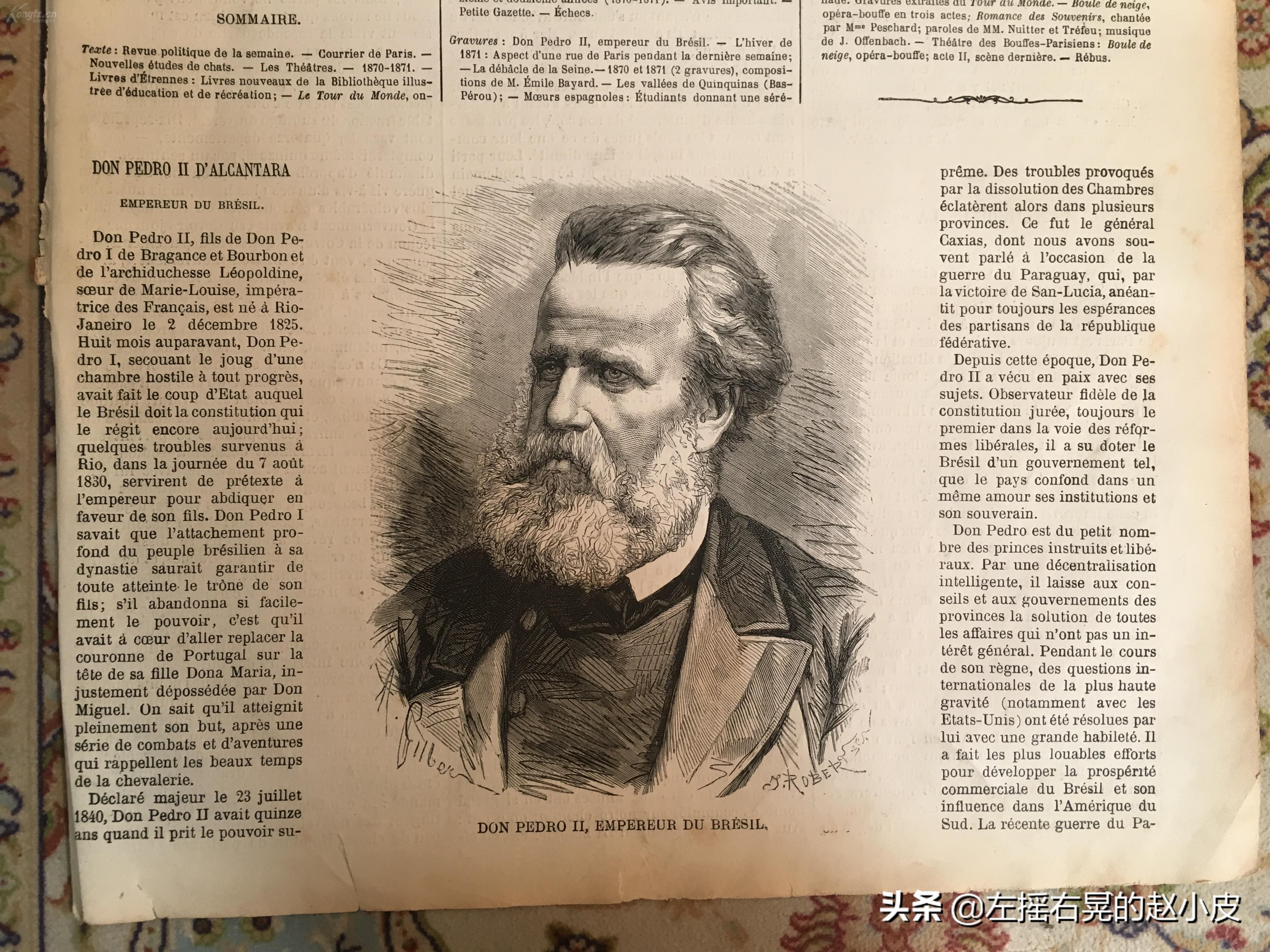 巴西帝国皇帝佩德罗二世,巴西帝国皇帝佩德罗心脏