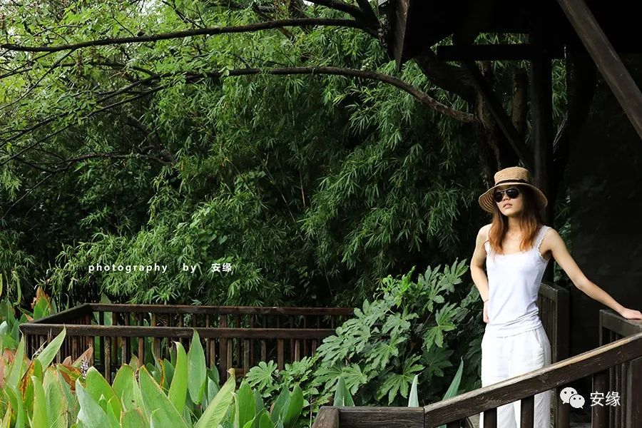 杭州西湖隐藏的豪华中式酒店,杭州水上主题酒店排名