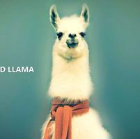 愚人节整蛊大赛女人版段子,愚人节聊天整人整蛊