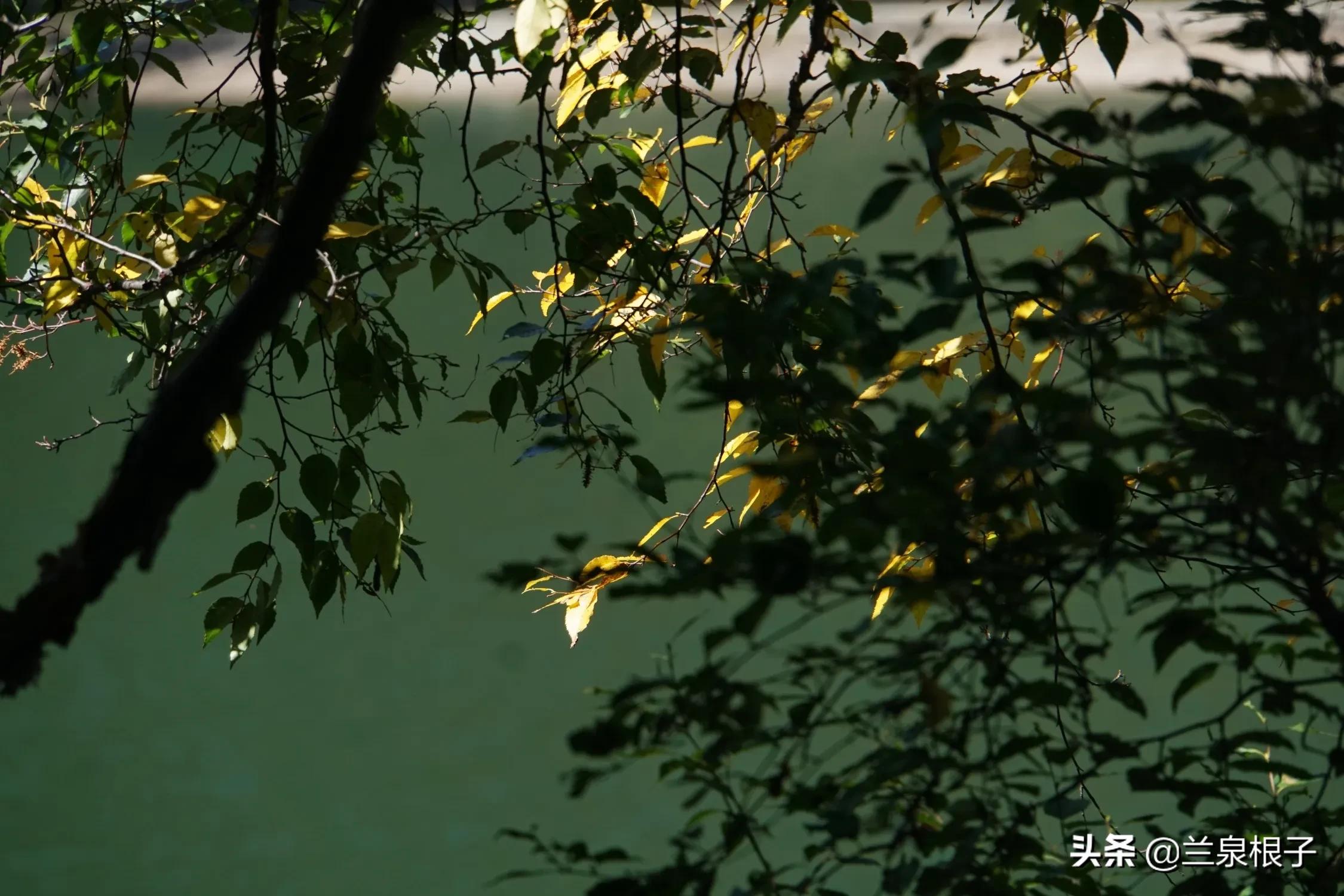 秋天的孟达天池,美丽的孟达天池