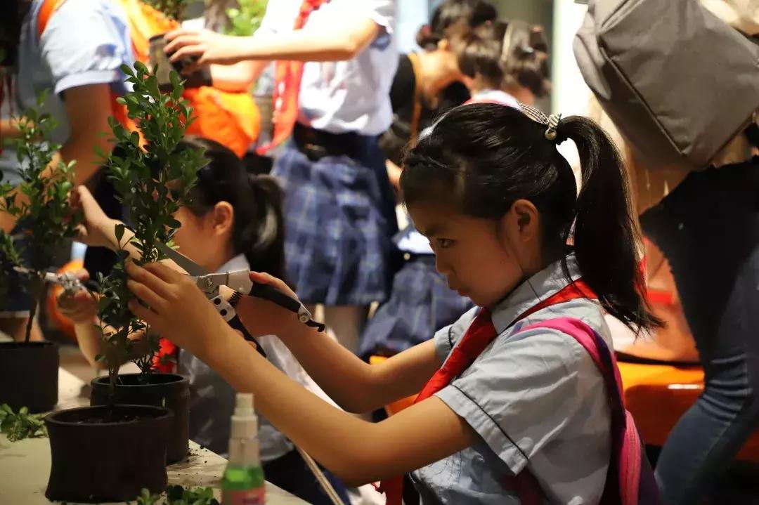 七彩夏日未成年人暑假系列活动,小学生七彩夏日暑假假期活动主题