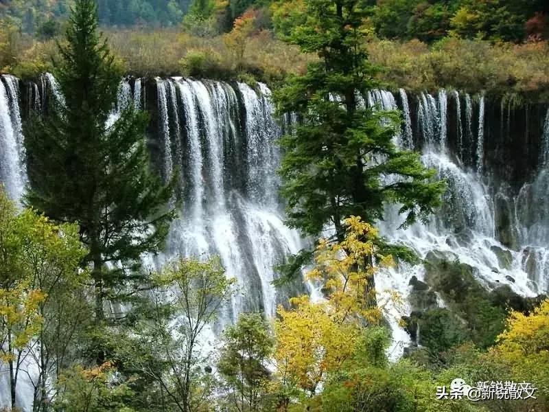 九寨黄龙避坑指南,九寨黄龙风景区旅游攻略