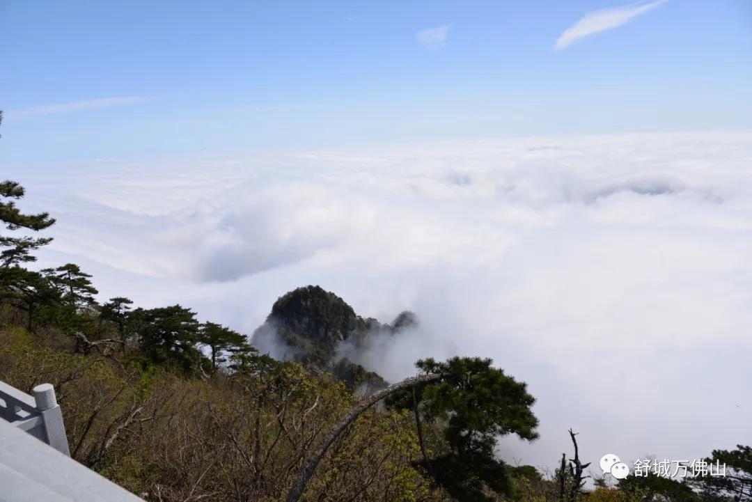 舒城万佛山申请5a级旅游景区,舒城万佛山风景区门票