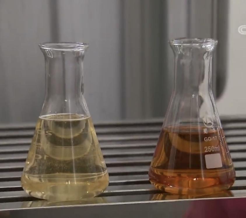 辽宁省盘锦家庭主妇数年布局，小果子卖出千万元