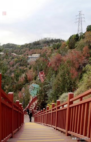 兰州看风景的观景台在哪里,兰州景区观景台