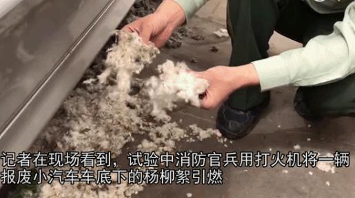 柳絮杨絮导致眼睛过敏鼻子难受,柳絮满天飞过敏流鼻涕