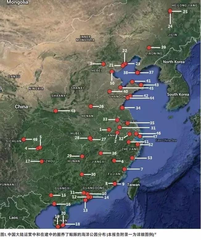 海洋馆的海洋动物表演,小孩子看的海洋动物视频